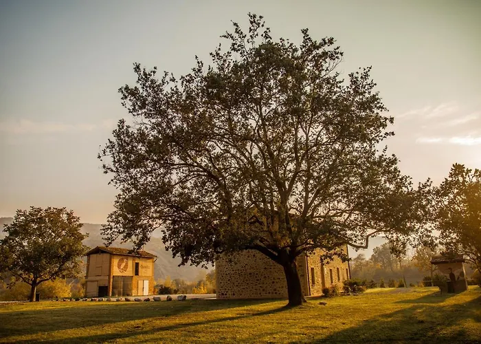 Farma Villaggio Della Salute Piu